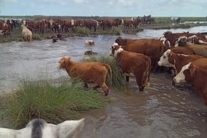 Vera bajo el agua: informe rural advierte un escenario crítico y pide la emergencia