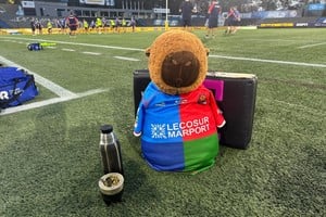 Con más de 30.000 seguidores y 45 millones de visualizaciones, la franquicia del Litoral lidera el crecimiento digital en el rugby sudamericano.