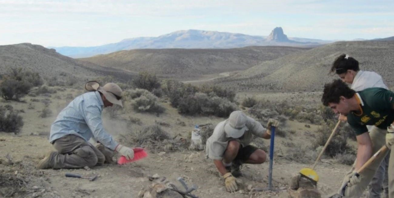 Descubren en Chubut una nueva especie de dinosaurio que vivió hace más de 150 millones de años