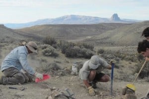 El descubrimiento aporta datos clave sobre la evolución de los saurópodos en Sudamérica.