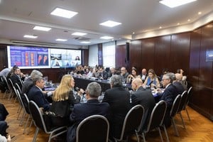 Santa Fe planteó en la reunión del COFESA la urgencia en la regularización del suministro de vacunas del calendario y criticó el recorte de medicamentos del Programa Remediar.