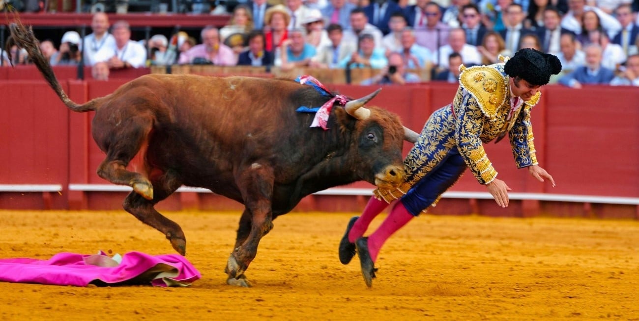 Un famoso torero español sufrió una brutal cornada durante un evento en Sevilla