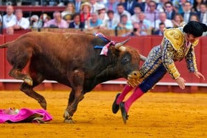 El torero Morante de La Puebla sufrió una grave cornada en Andalucía.
