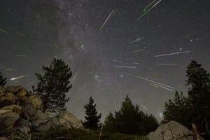 La lluvia puede verse desde el hemisferio sur, aunque con una actividad menor que en latitudes del norte.