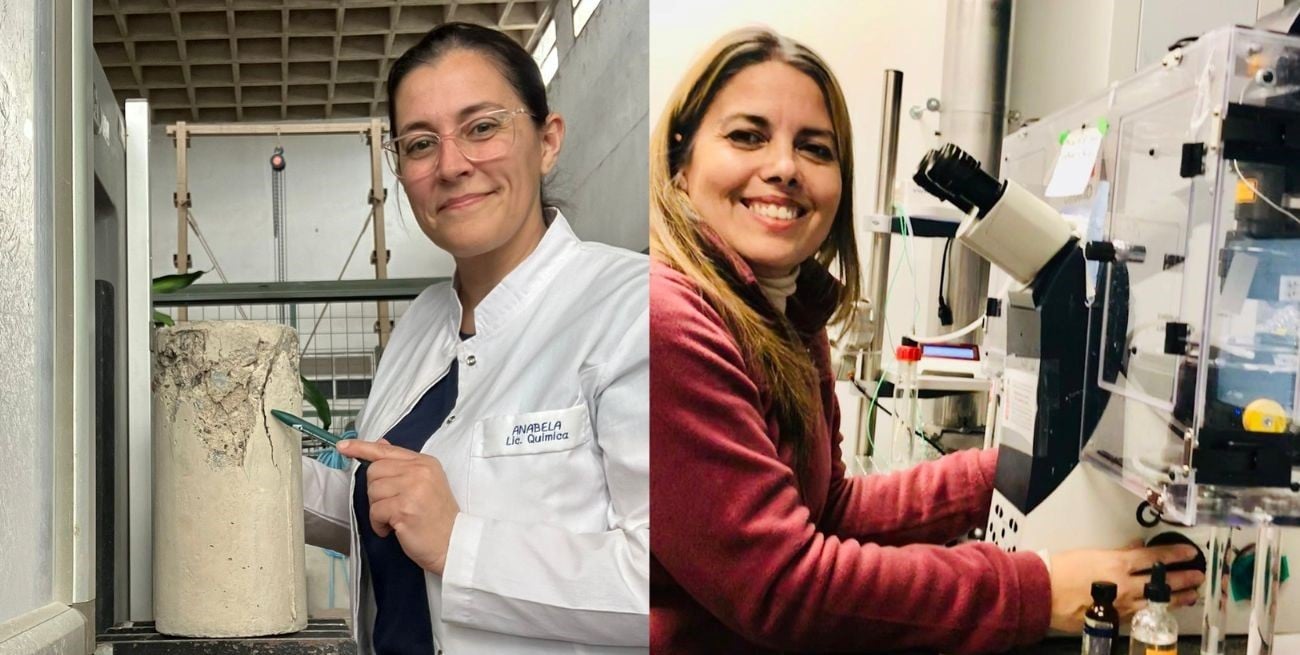 Cuando las bacterias se convierten en "microalbañiles" que reparan el hormigón