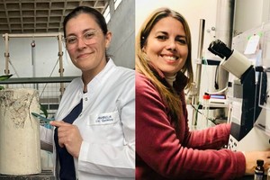 Las doctoras Anabela Gilarducci (UTN Santa Fe) y Gabriela Paraje (UNC) y del Conicet realizaron el desarrollo e irán al MIT. Foto: Gentileza