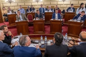 La Cámara de Senadores madura por estas horas el debate sobre el proyecto de ley