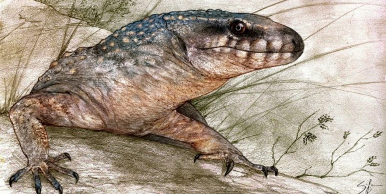 Científicos del CONICET descubren en la Patagonia un reptil de 70 millones de años
