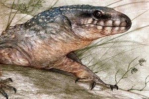 Reconstrucción de Paleoteius. Créditos Sebastián Rozadilla.