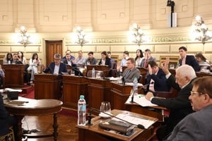 La Cámara alta aceptó la renuncia de Enrico tras la discutida controversia por su licencia. Foto: Gentileza Senado de Santa Fe.
