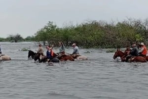 Fortín Olmos: gauchos rescatan hacienda a caballo mientras la inundación golpea al norte