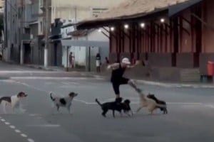 La persecución quedó registrada en video y se viralizó en redes sociales.