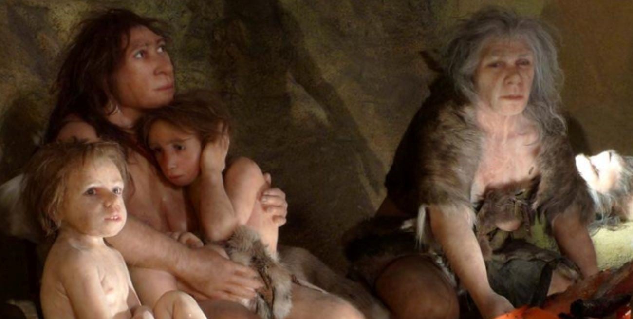 Descubren que los bebés neandertales de 6 meses se veían como un niño humano de 14