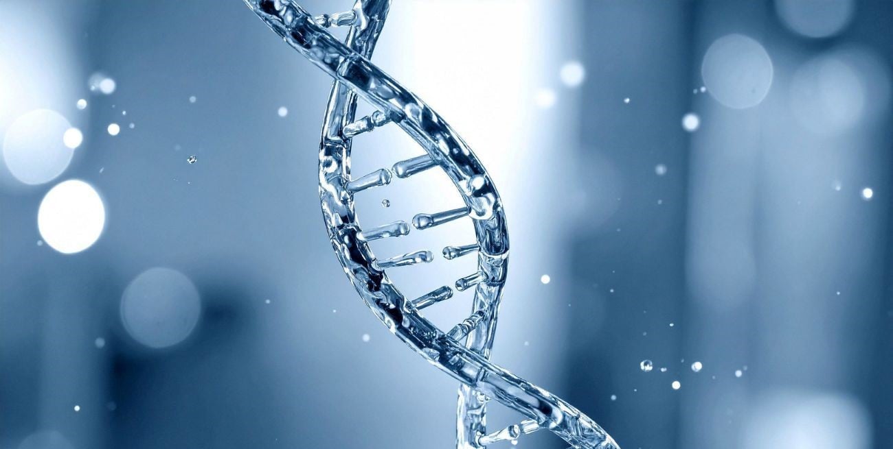 Día Mundial del ADN: los secretos de la molécula que define nuestra identidad y revoluciona la ciencia