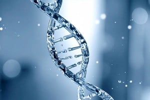 Hoy la ciencia ya no solo "lee" el ADN, sino que ha empezado a "escribirlo". 