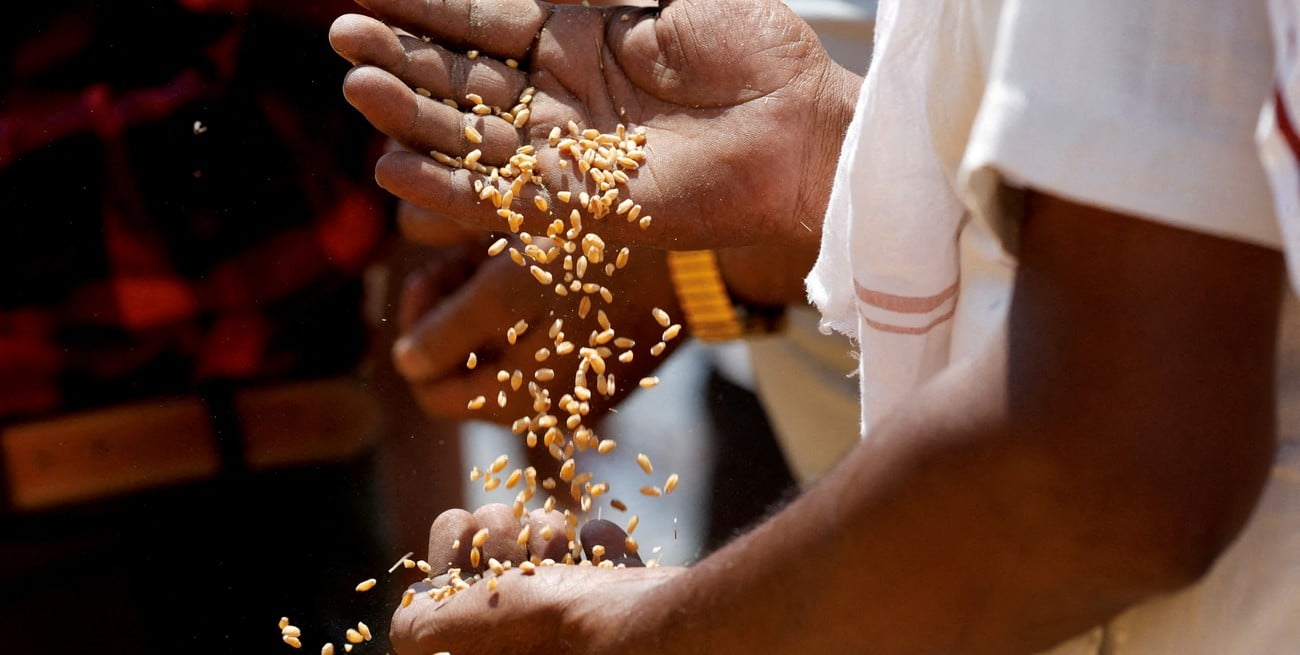 India, el socio comercial de Argentina clave para la balanza positiva y que atraviesa una crisis