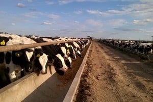 El encuentro es organizado por el IPCVA, con la participación del INTA Rafaela, y se desarrollará en el establecimiento UNCOGA Feedlot Cooperativo, ubicado sobre la Ruta Provincial 70.
