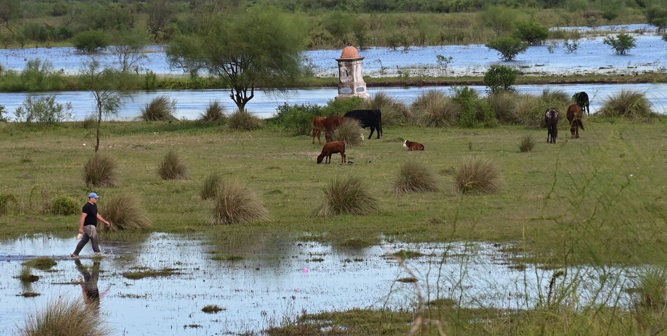 Río Salado: tras el pico de crecida por lluvias extremas, la altura comienza a normalizarse