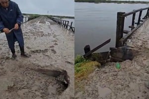 El Puente sobre el arroyo Golondrina.