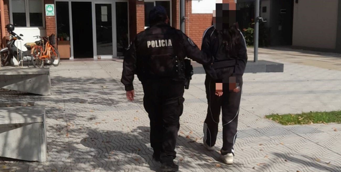 Detuvieron a una joven porque su Pitbull atacó a una pareja y a su perrito en Santo Tomé