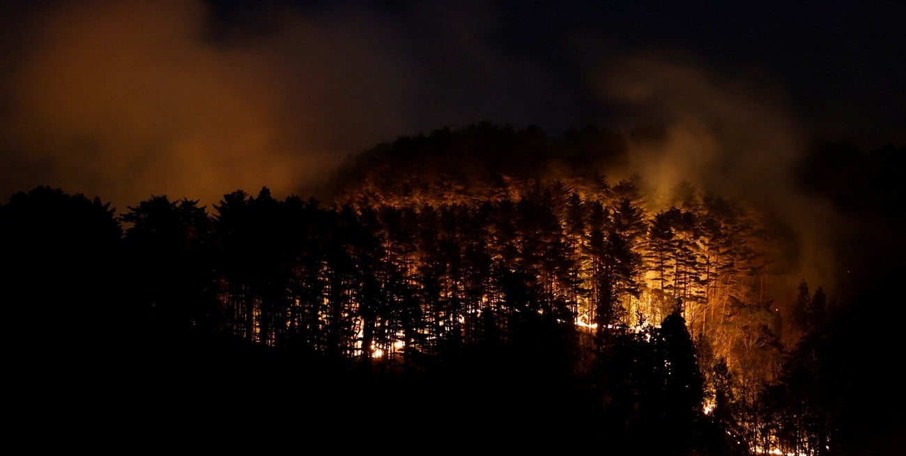 Incendio forestal en Japón obligó a evacuar miles de personas y arrasó viviendas