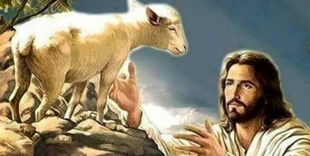 "Yo soy el Buen Pastor, conozco a mis ovejas y ellas me siguen"