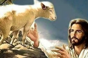 El Buen Pastor es aquel que acompaña, ayuda y protege a sus ovejas. Las guía y las tranquiliza, conocen su voz.