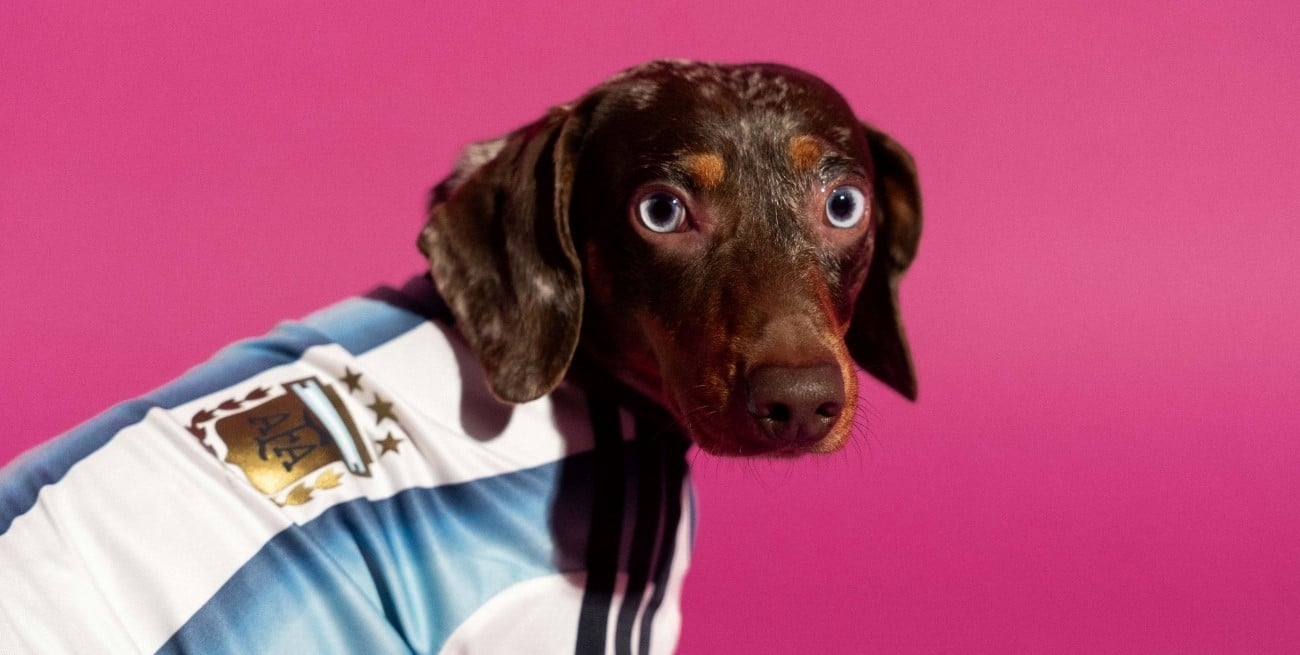 La camiseta argentina también tendrá versión para perros
