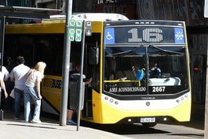 Imagen ilustrativa. Crédito: Guillermo Di Salvatore