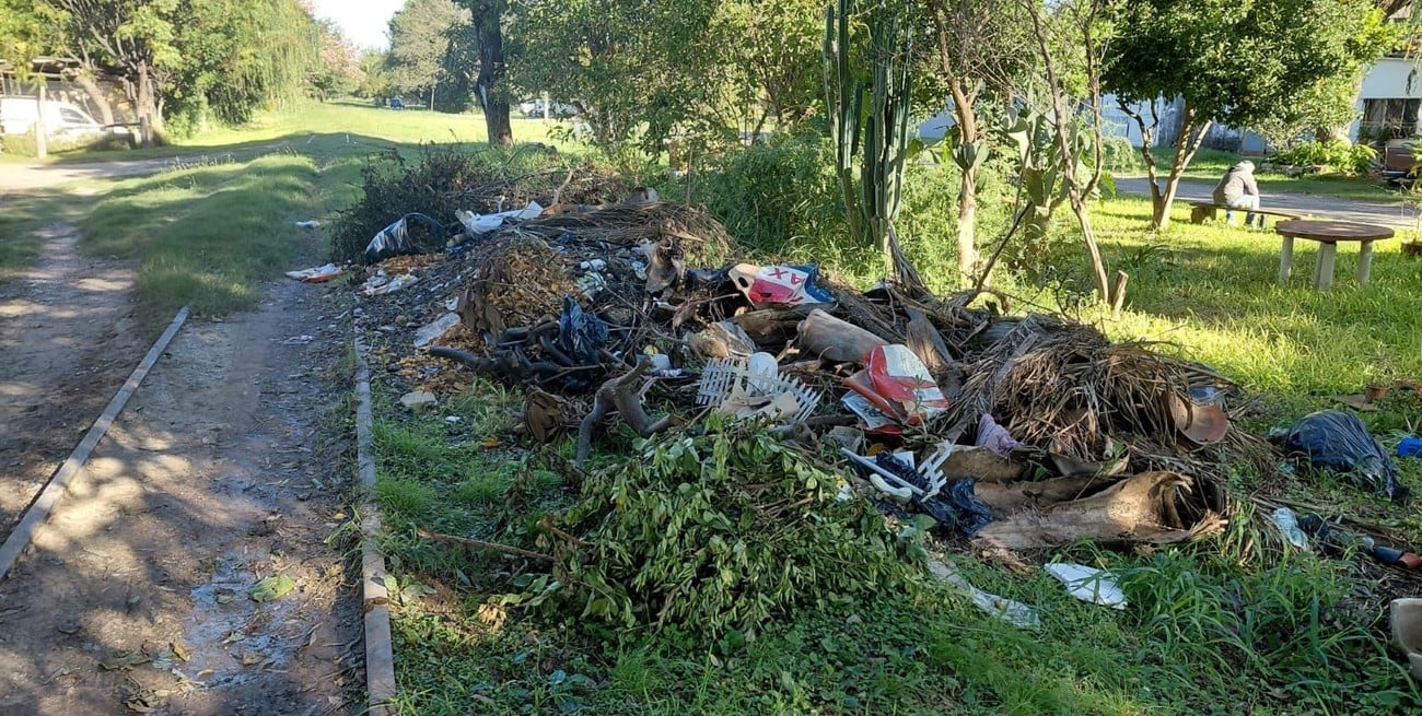 Proponen acciones para frenar la proliferación de microbasurales en Santa Fe: en qué consisten