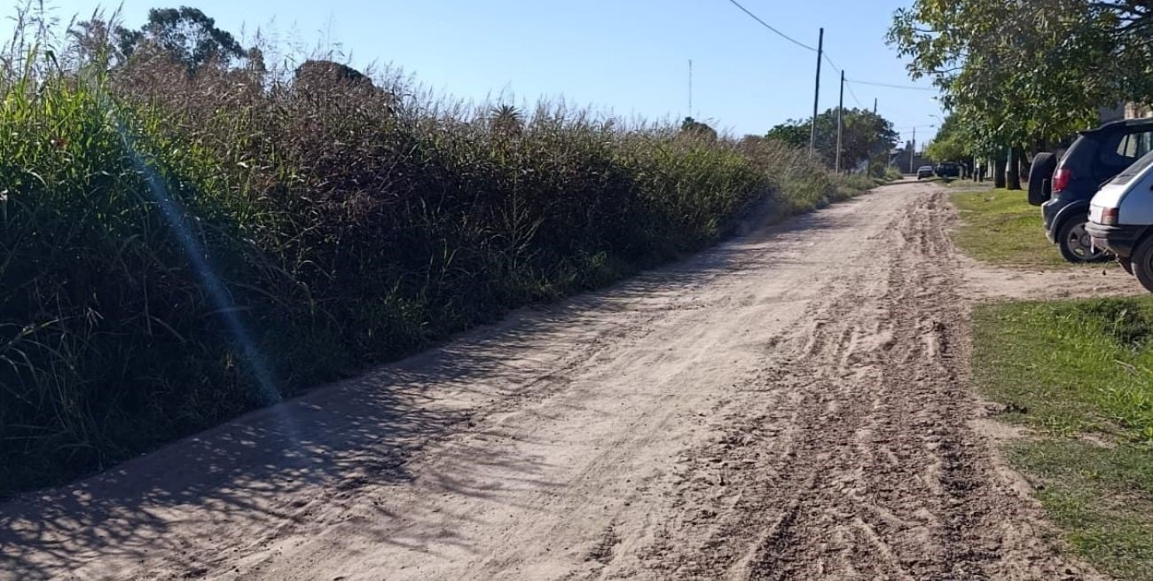Vecinos de barrio Adelina Centro reclaman por calles intransitables y yuyales en Centenario