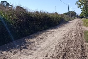 Con un pasado histórico, Adelina Centro enfrenta el desafío de calles deterioradas y terrenos descuidados.