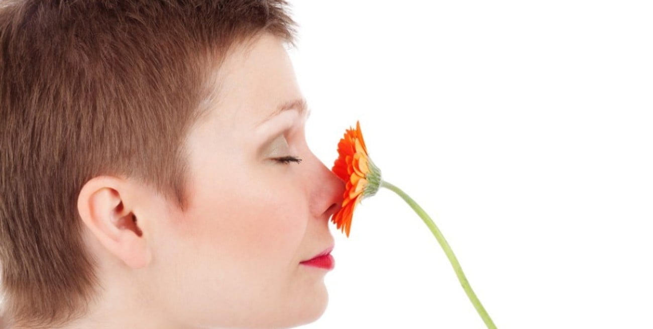 Por primera vez, investigadores descifran cómo funciona la nariz