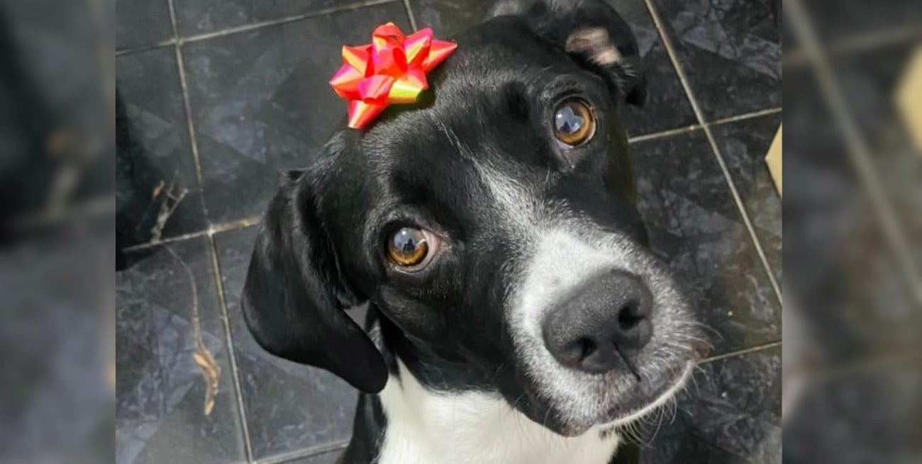 El amor que nos transforma y el compromiso que aún debemos asumir