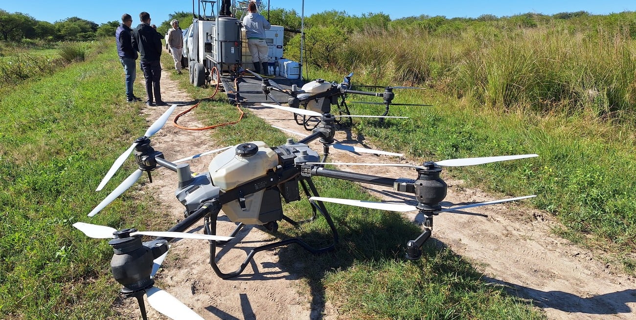 Más carne con menos superficie: el impacto de los drones en la cuenca del Saladillo