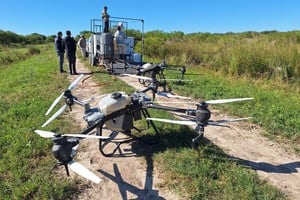 Drones y ganadería: una herramienta clave para potenciar el pastizal natural