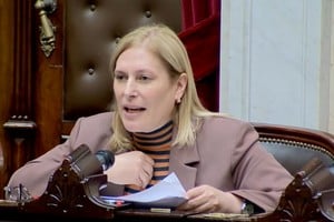 Gisela Scaglia este miércoles en Diputados. Crédito: Diputados