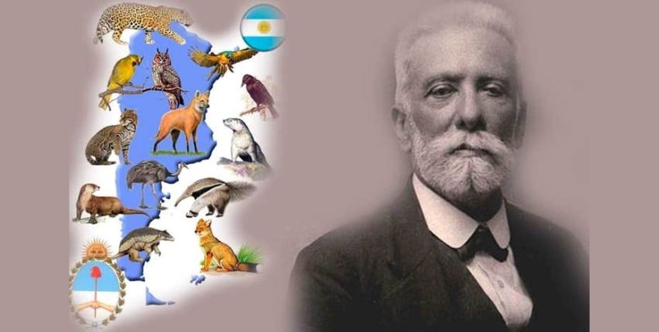 Conmemoración del Día del Animal