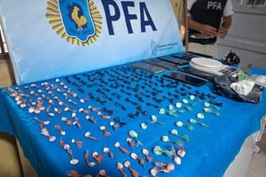 Secuestraron cocaína fraccionada, lista para la venta.