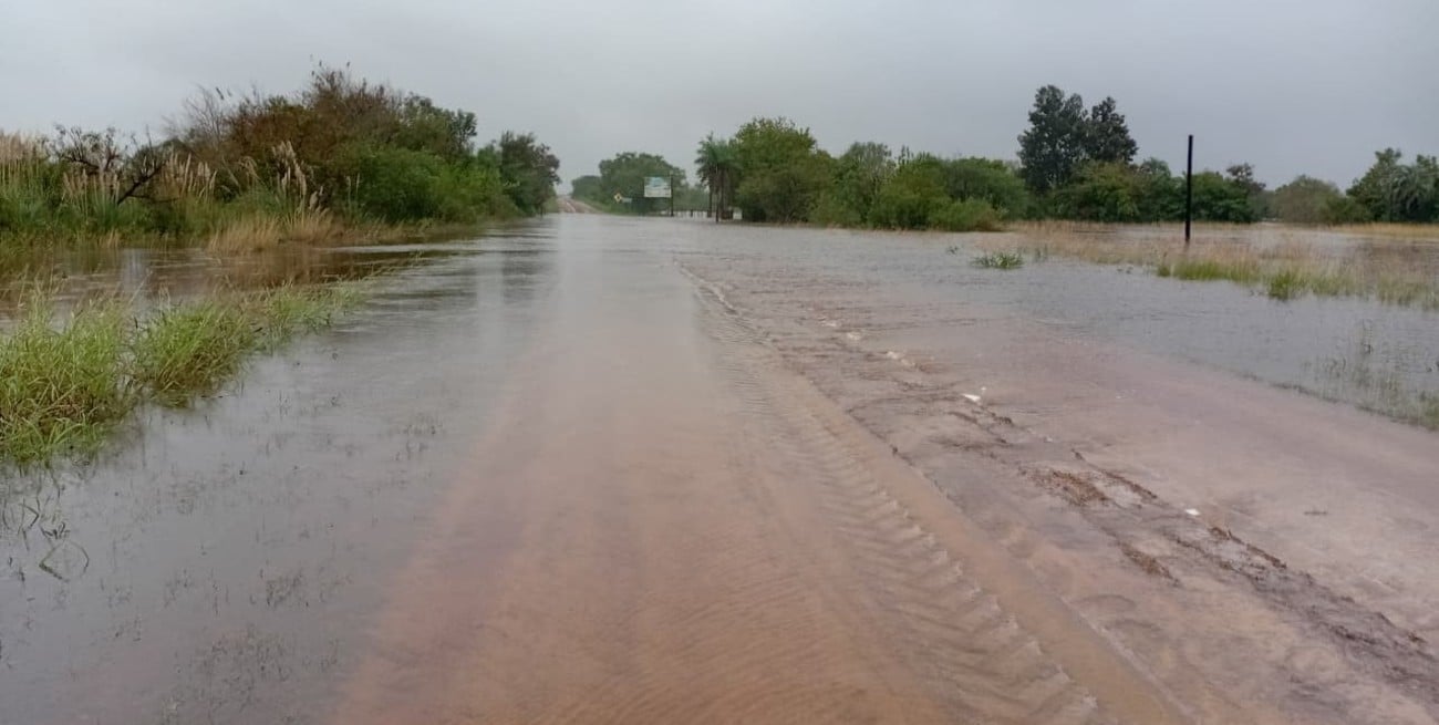 Excesos hídricos ponen en jaque a la apicultura en el norte santafesino