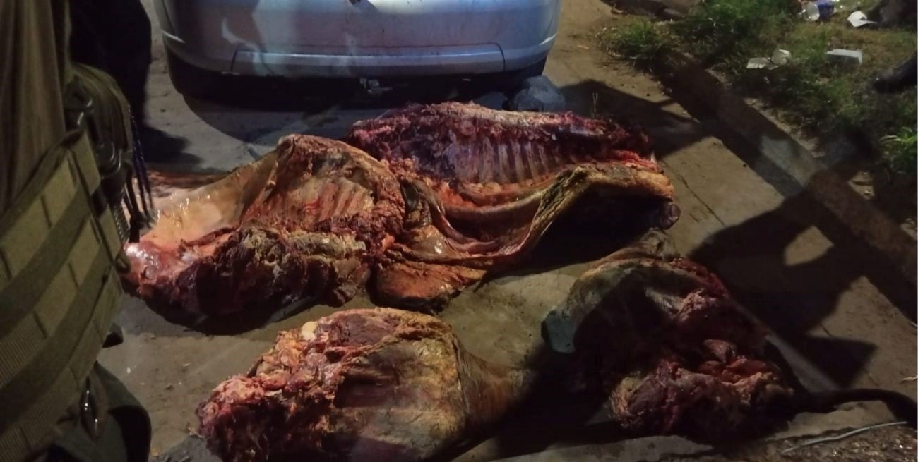 Detuvieron a cuatreros que faenaron un animal en la zona de Playa Norte