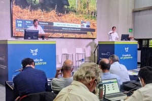 Si bien ROSGAN es el referente nacional en invernada y cría, en abril la oferta con destino a faena fue significativa. El volumen total se distribuyó de la siguiente manera: