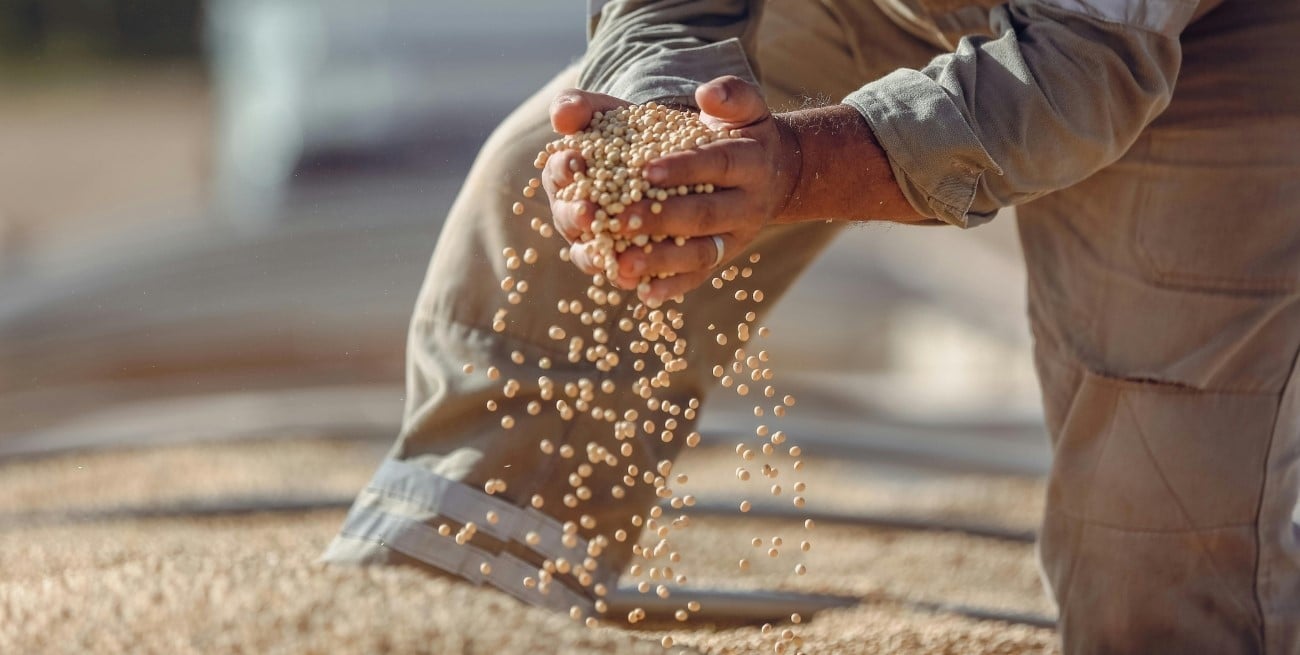 Qué impacto podría tener El Niño en la producción agrícola argentina
