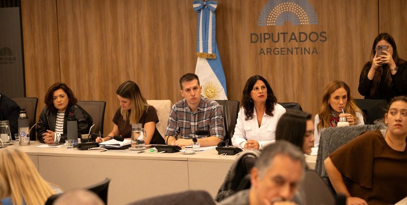 Emergencia en Discapacidad: el Gobierno apela en la Corte y Diputados reclama su implementación