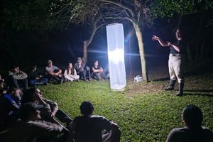 Salida nocturna de reconocimiento de insectos.

Tomás Acosta (Gentileza).