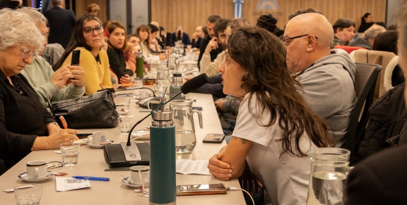Discapacidad en el centro del debate: entre la prórroga a la emergencia y el Presupuesto 2027