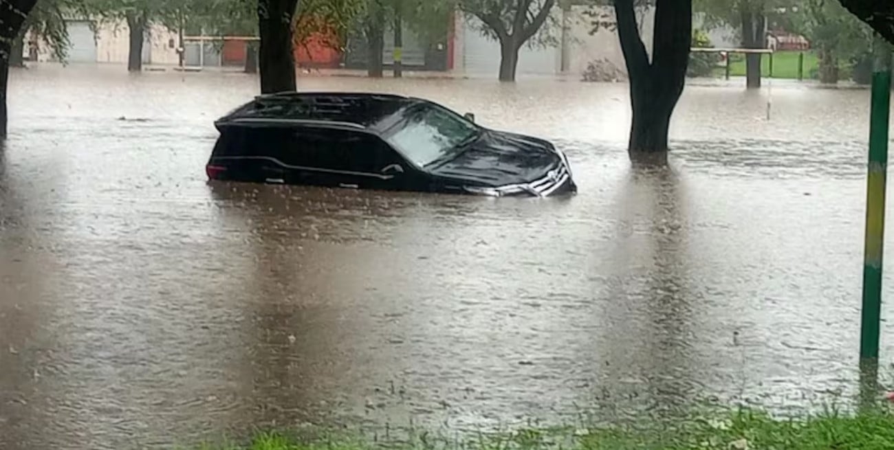 Temporal en Mar del Plata y la Costa Atlántica: calles inundadas y caída de árboles