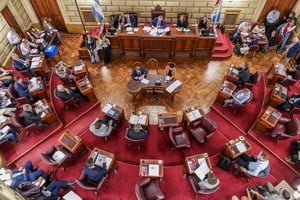 Sesión Ordinaria N° 6 de la Cámara de Senadores de la Provincia de Santa Fe. Foto: Senado provincial