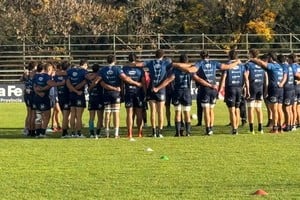 Capibaras XV.