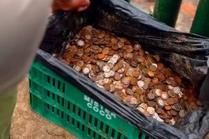 Aunque para el turista el acto de lanzar una moneda termina en segundos, para la fauna acuática es el inicio de un proceso tóxico. 